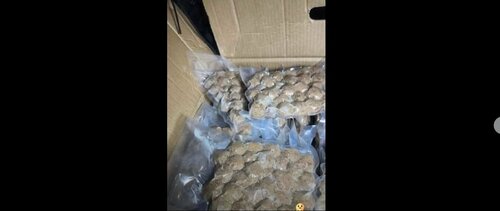 Зүй бусаар хорогдсон малын махыг бөөрөнхий мах болгожээ